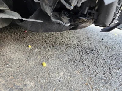 2014 Ford Focus VIN: