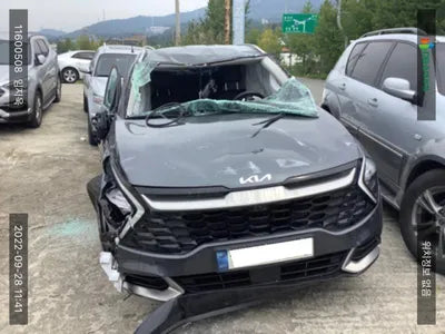 2021 Kia Sportage KNAPW81CDNK015321 VIN:KNAPW81CDNK015321