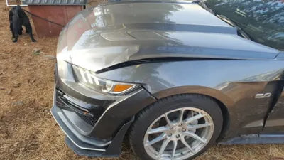 2016 Ford Mustang GT 1FATP8FFXH5207406 VIN:1FATP8FFXH5207406