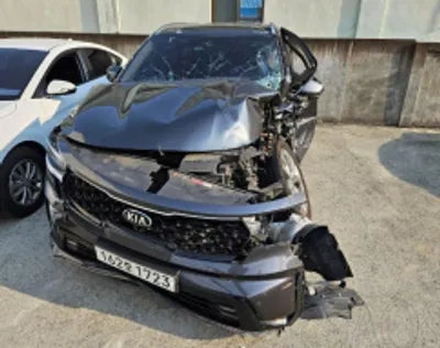 2021 Kia Sorento KNARL81BGMA078047 VIN:KNARL81BGMA078047