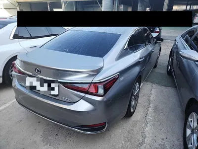 2019 Lexus ES 300 VIN: