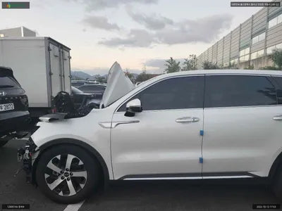 2021 Kia Sorento KNARF81BGMA095607 VIN:KNARF81BGMA095607