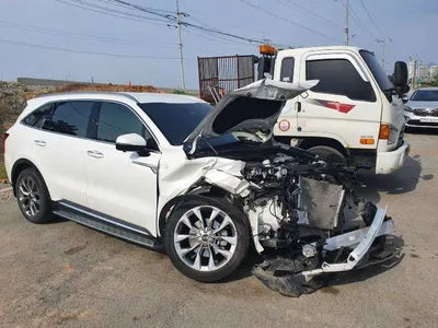 2020 Kia Sorento KNARK81BGMA038540 VIN:KNARK81BGMA038540