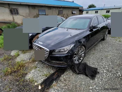 2015 acupuncture nessis 3.3 VIN: