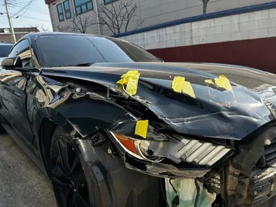 2017 Ford Mustang 1FA6P8TH9H5338409 VIN:1FA6P8TH9H5338409