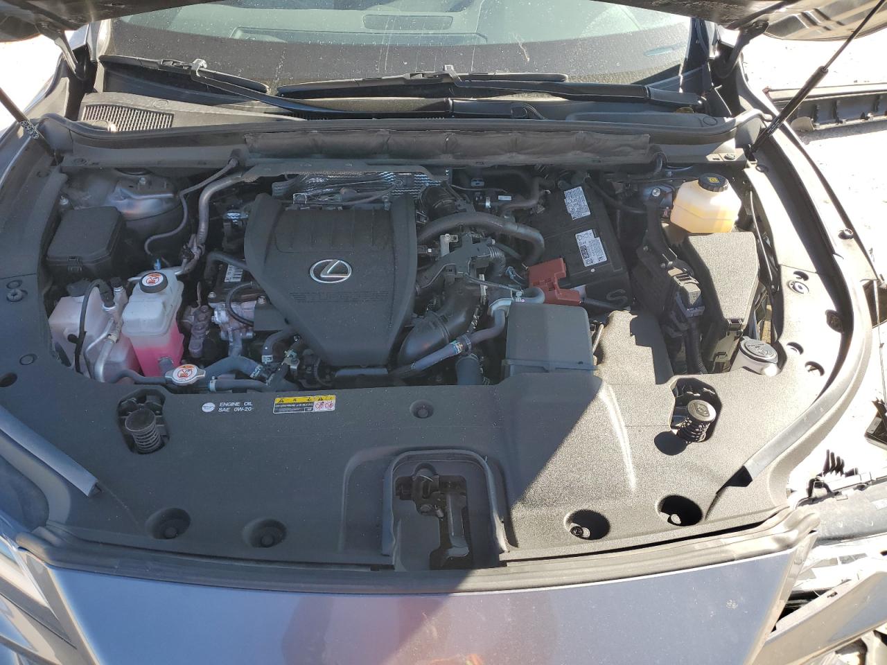 2023 LEXUS RX 350 BASE VIN:2T2BAMBA1PC009238