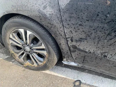 2019 Kia Carnival KNAMB81ABKS505816 VIN:KNAMB81ABKS505816