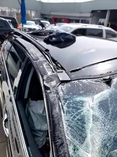 2019 Kia Sorento KNAPH81BBLA568054 VIN:KNAPH81BBLA568054