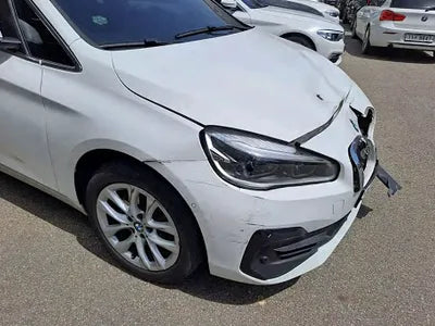 2019 BMW 2 Series Gran Tourer WBA6T910XKVE95396 VIN:WBA6T910XKVE95396