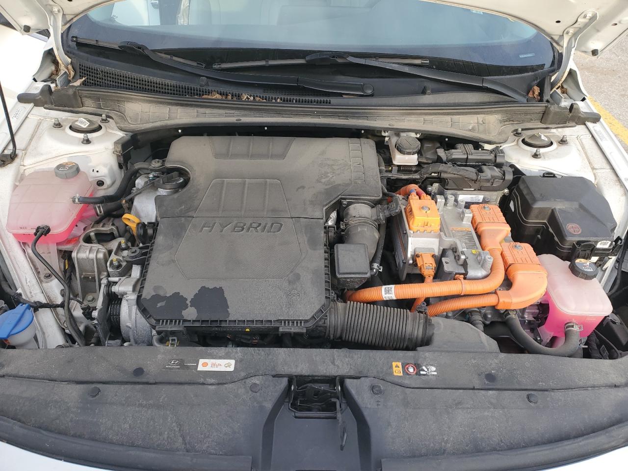 2023 HYUNDAI ELANTRA LIMITED VIN:KMHLN4AJ4PU033367