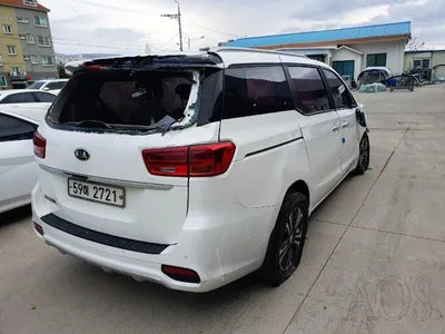 2019 Kia Carnival KNAMB81ABKS468161 VIN:KNAMB81ABKS468161