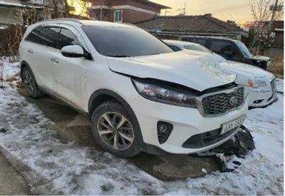 2020 Kia Sorento KNAPG81BBLA569568 VIN:KNAPG81BBLA569568