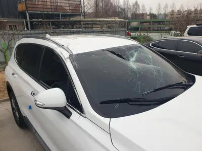 2020 Hyundai Santa FE KMHS281ABLU255228 VIN:KMHS281ABLU255228