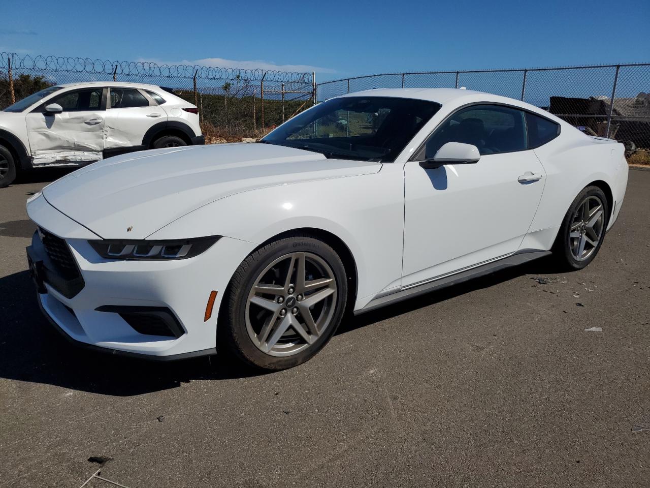 2024 FORD MUSTANG  VIN:1FA6P8TH6R5102995