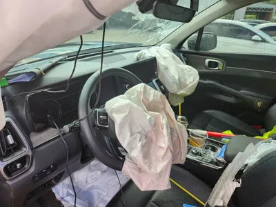 2021 Kia Sorento KNARL81BHMA089925 VIN:KNARL81BHMA089925
