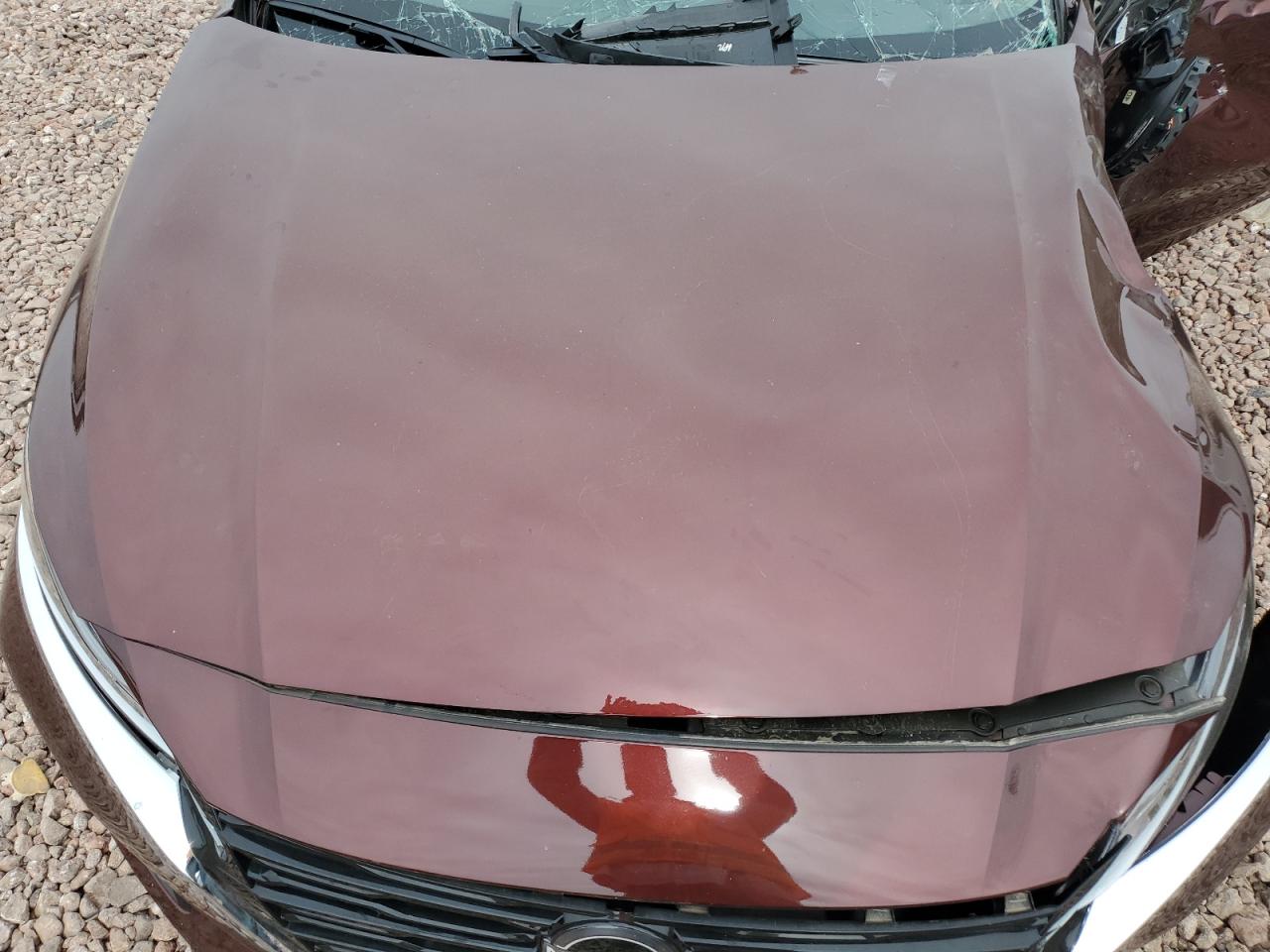 2023 NISSAN ALTIMA SL VIN:1N4BL4EV6PN326027