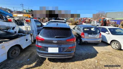 2019 Hyundai Tucson KMHJ381ABKU015981 VIN:KMHJ381ABKU015981