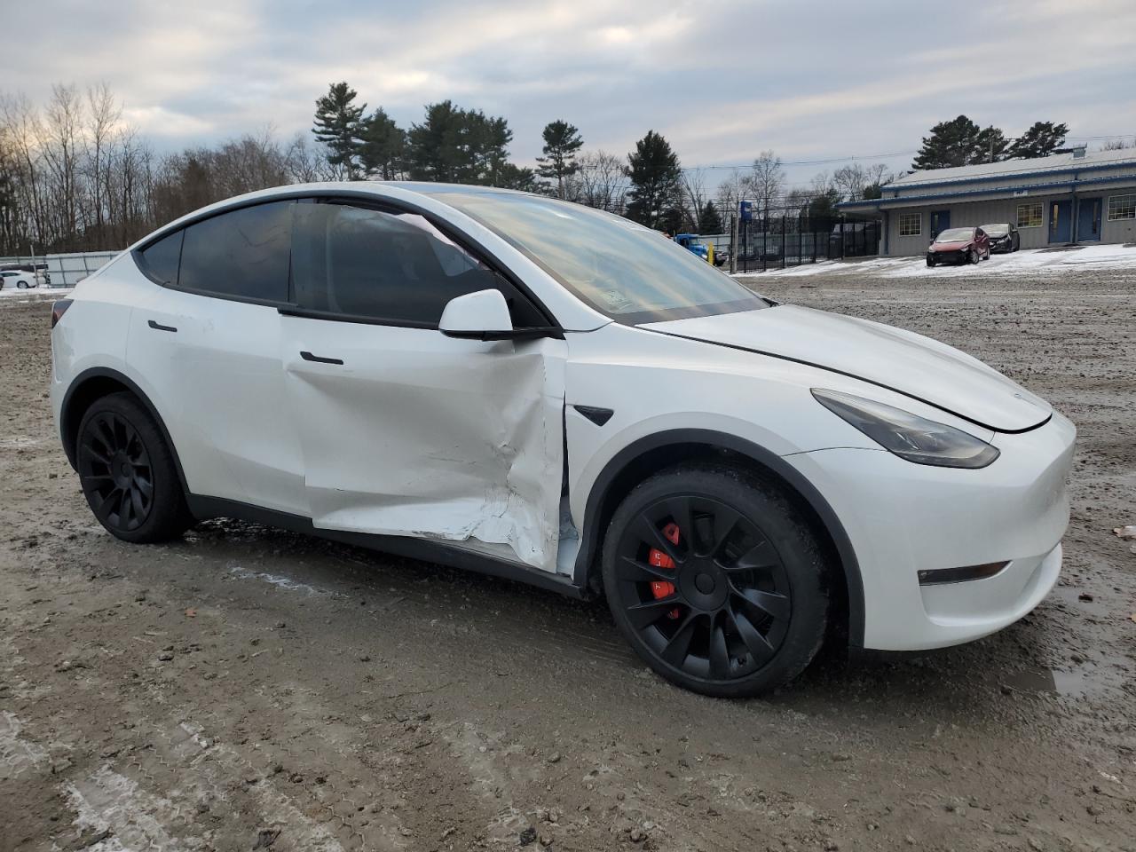 2023 TESLA MODEL Y  VIN:7SAYGDEE1PF675929
