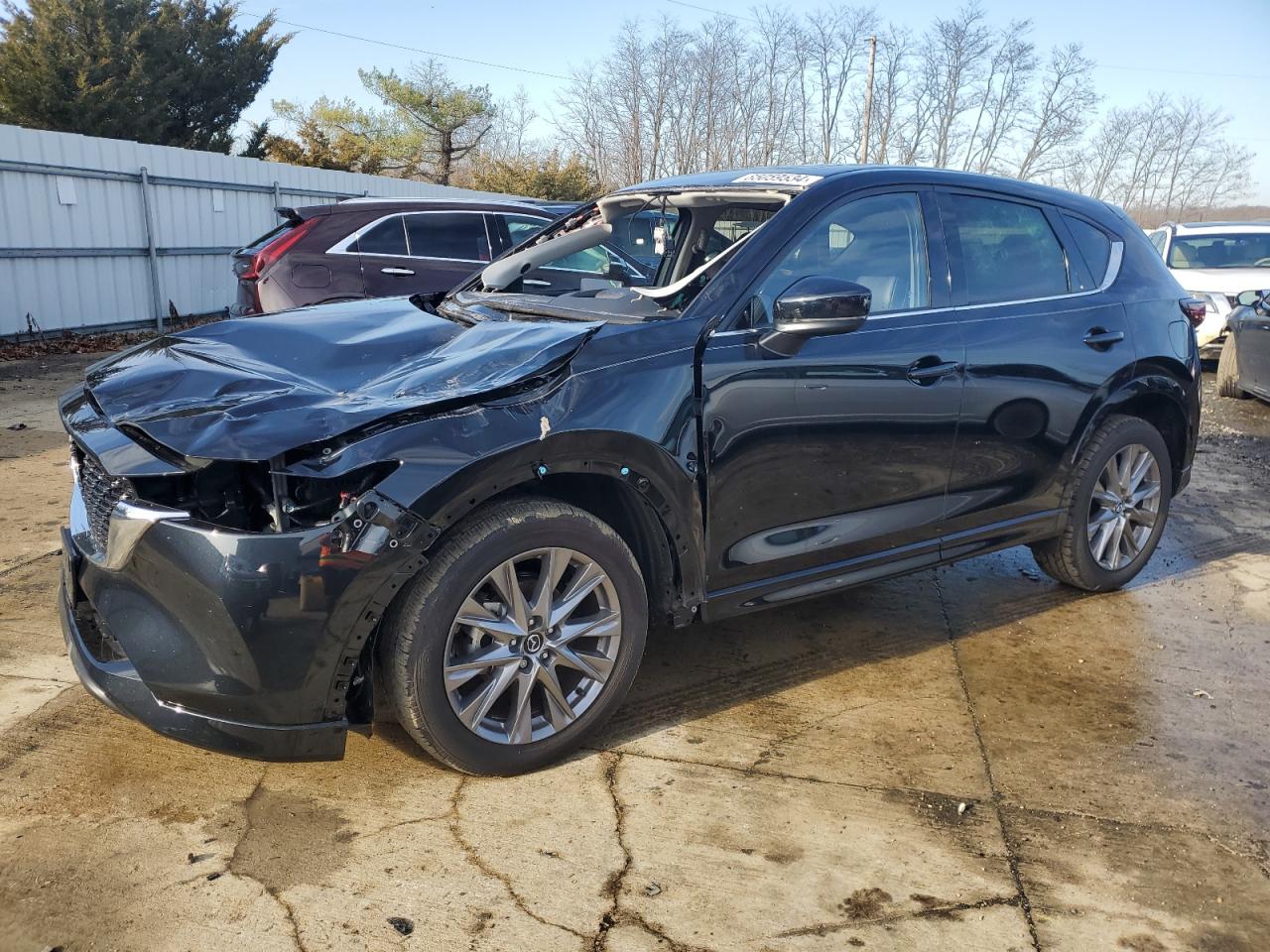 2024 MAZDA CX-5 PREMIUM PLUS VIN:JM3KFBEM7R0395166