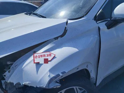 2019 Hyundai Santa FE KMHS281BBKU161615 VIN:KMHS281BBKU161615