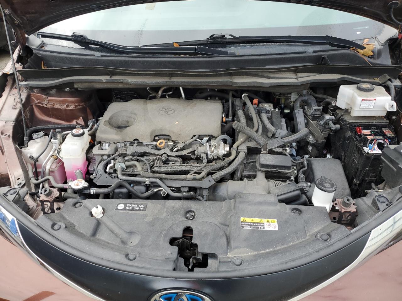 2023 TOYOTA SIENNA LE VIN:5TDKRKECXPS142456