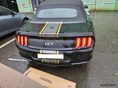 2019 Ford Mustang GT 738KM1FATP8FF9K51 VIN:738KM1FATP8FF9K51