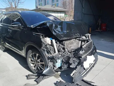 2016 Kia Sorento KNAPH81ABGA189463 VIN:KNAPH81ABGA189463