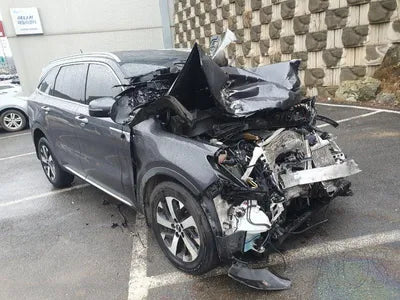 2021 Kia Sorento KNARL81BGMA097542 VIN:KNARL81BGMA097542