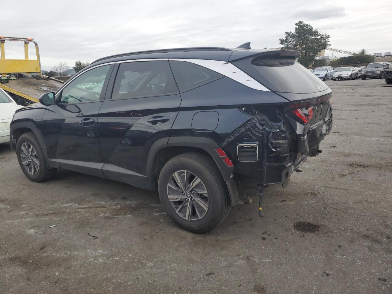 2024 HYUNDAI TUCSON BLUE VIN:KM8JBCD18RU145047