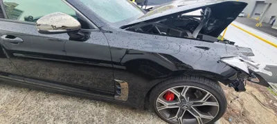 2020 Kia Stinger KNAE351ABLS079865 VIN:KNAE351ABLS079865