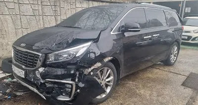2019 Kia Carnival KNAME81ABKS499930 VIN:KNAME81ABKS499930