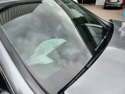 2019 Mercedes-Benz E 300 026KMWDDZF4KB2KA5 VIN:026KMWDDZF4KB2KA5