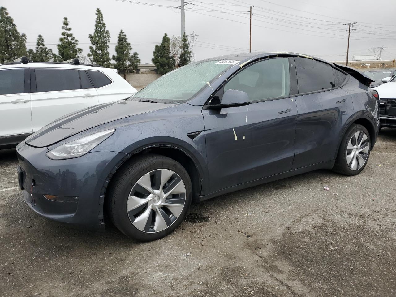 2023 TESLA MODEL Y  VIN:7SAYGDEE6PA103185