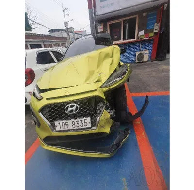 2018 Hyundai Kona KMHK4815GJU009395 VIN:KMHK4815GJU009395