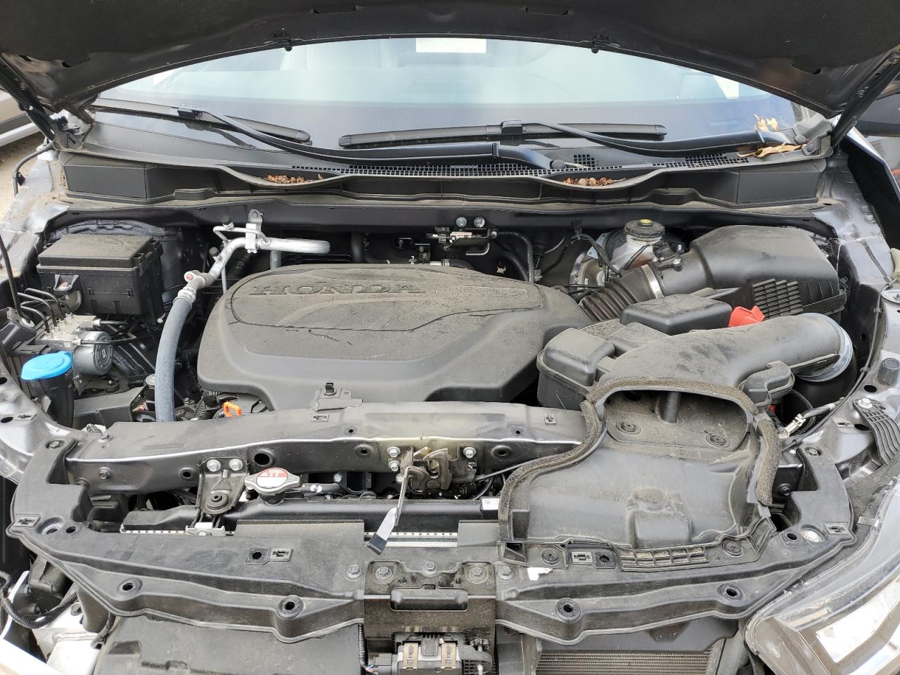 2024 HONDA ODYSSEY EXL VIN:5FNRL6H65RB012301