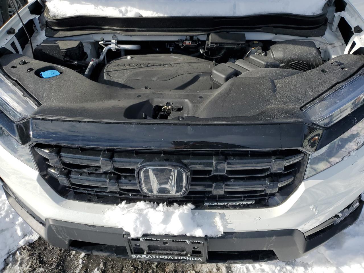 2024 HONDA RIDGELINE BLACK EDITION VIN:5FPYK3F83RB001368