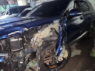 2019 Hyundai Santa FE KMHS381BBKU059206 VIN:KMHS381BBKU059206