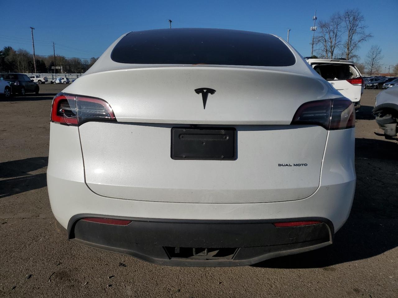 2024 TESLA MODEL Y  VIN:7SAYGDEE0RF044320