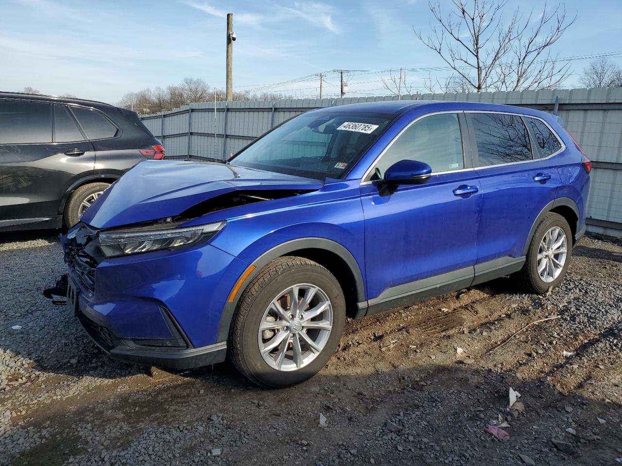 2024 HONDA CR-V EXL VIN:5J6RS4H79RL002216