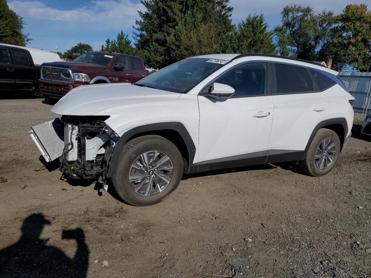 2024 HYUNDAI TUCSON BLUE VIN:KM8JBCD14RU192785