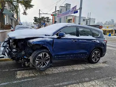 2019 Hyundai Santa FE KMHS381CDKU156880 VIN:KMHS381CDKU156880