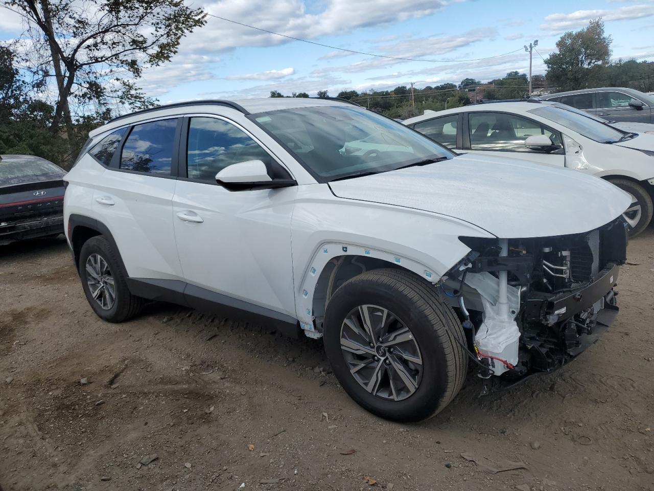 2024 HYUNDAI TUCSON BLUE VIN:KM8JBCD16RU194926