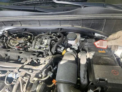 2022 Kia Sorento KNARL81BGNA165588 VIN:KNARL81BGNA165588