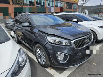 2016 Kia Sorento KNAPS81ABGA263117 VIN:KNAPS81ABGA263117
