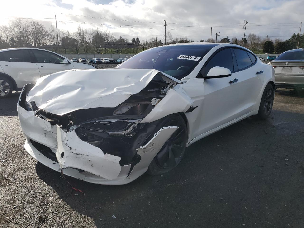 2024 TESLA MODEL S  VIN:5YJSA1E59RF541014