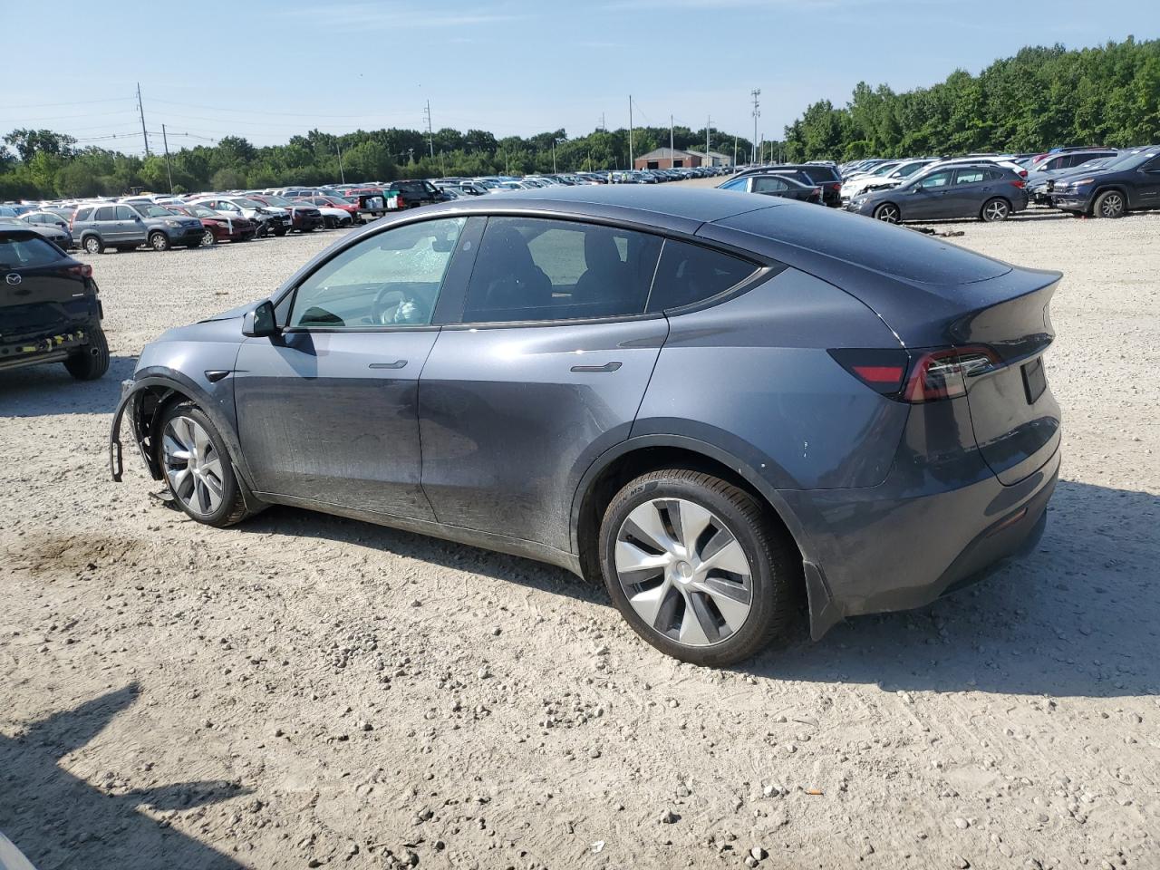 2023 TESLA MODEL Y  VIN:7SAYGDEE7PA212917