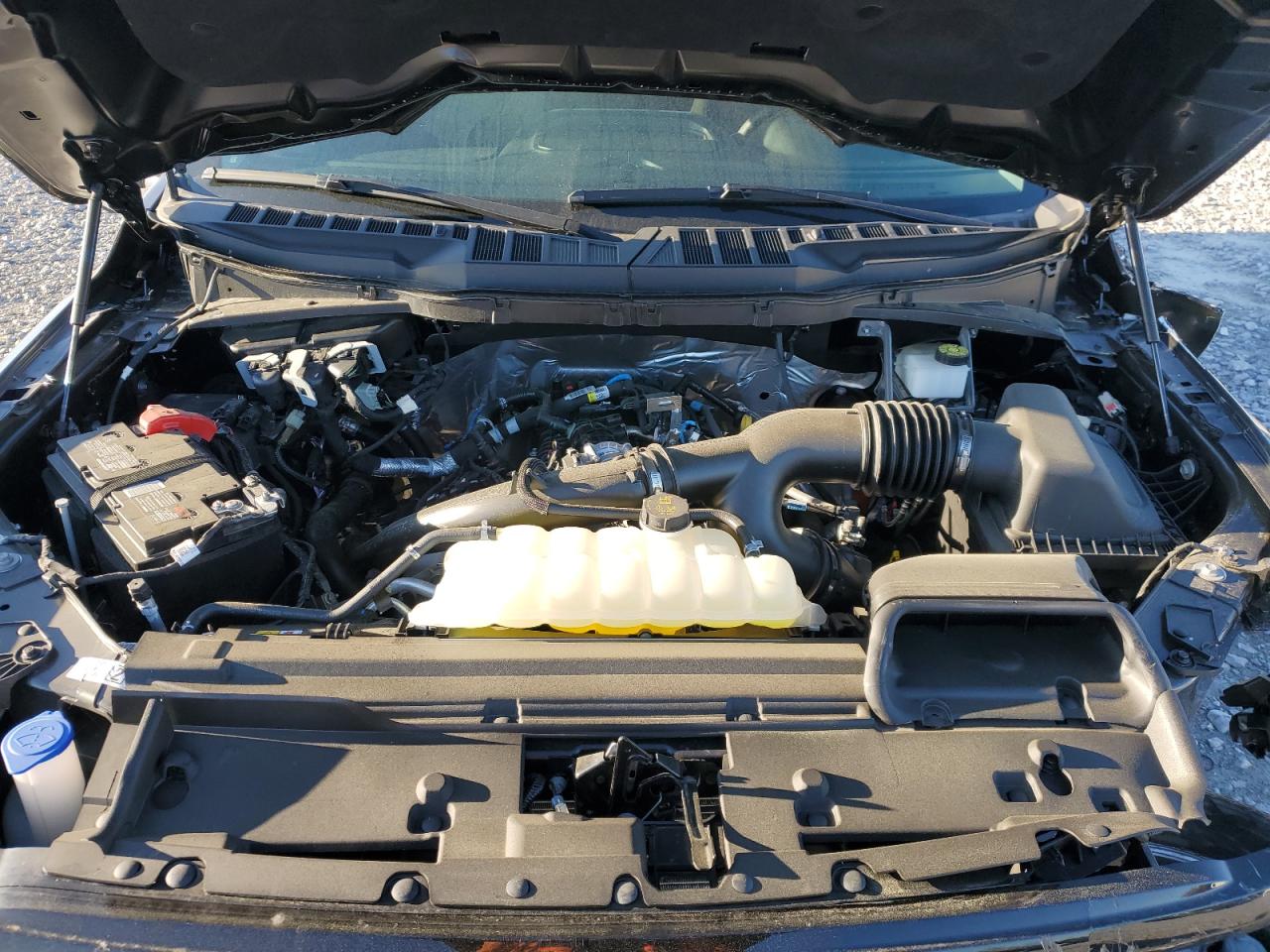 2024 FORD F150 XLT VIN:1FTEW3KP8RKD87768