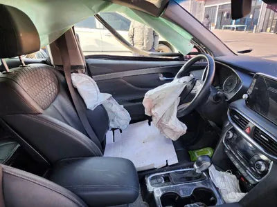 2019 Hyundai Santa FE KMHS281BBKU163858 VIN:KMHS281BBKU163858