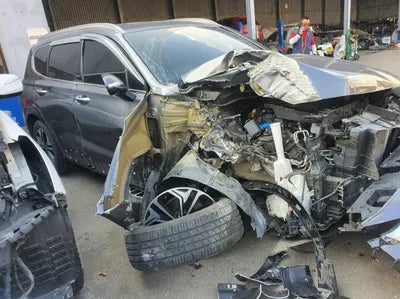 2019 Hyundai Santa FE KMHS381BBKU046289 VIN:KMHS381BBKU046289