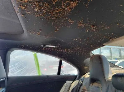 2020 Mercedes-Benz CLA 250 VIN: